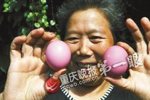 母雞連下20枚紅蛋 專家稱或為基因變異(圖)