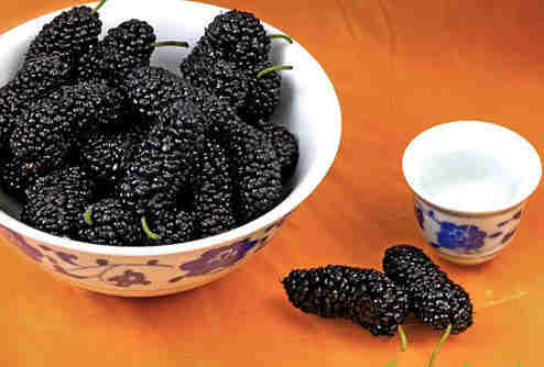 傳授你時(shí)尚的"黑食"高招