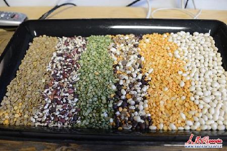 　　這種名為“超越雞蛋”的安全食材主要由從豆類植物中提取的蛋白質(zhì)構(gòu)成。
