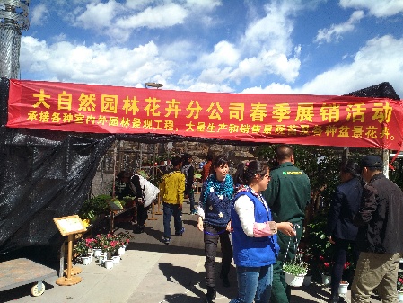 香格里拉春季花卉市場(chǎng)節(jié)節(jié)升溫