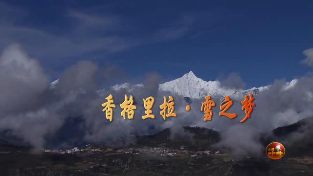 雪之夢