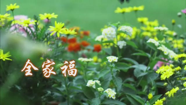 17.《全家?！凡菝苯恪誊?></a><span><a href=
