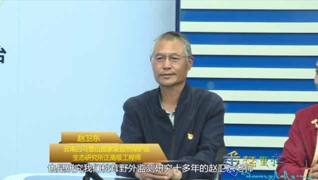 【一周一訪(fǎng)談81期】《一周一訪(fǎng)談》節(jié)目邀請(qǐng)嘉賓探討松茸的科學(xué)保護(hù)與合理利用（一）