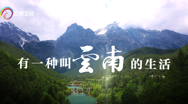 有一種叫云南的生活丨來云南找尋真，遇見美！