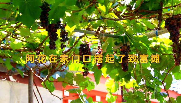 阿花在家門(mén)口擺起了致富攤