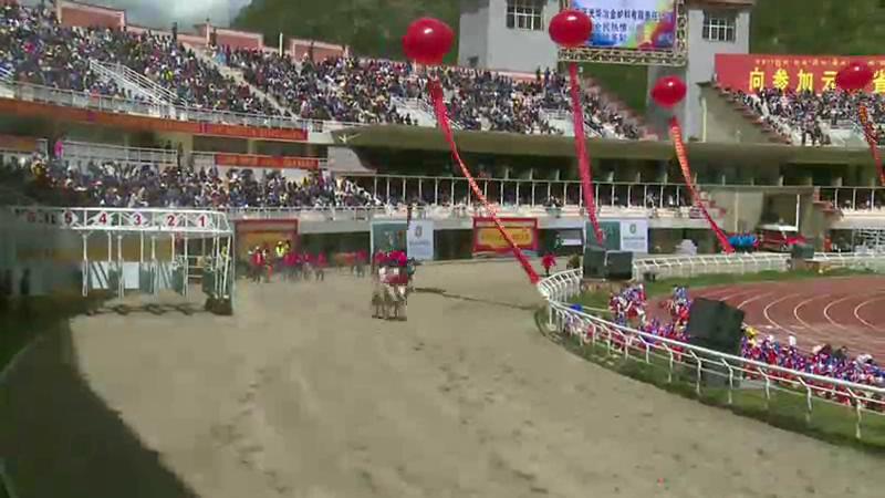 開(kāi)幕式——馬術(shù)表演
