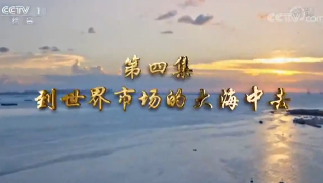 第四集 到世界市場(chǎng)的大海中去
