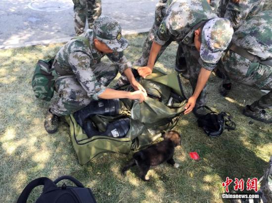 8月16日，被北京軍區(qū)某防化團戰(zhàn)士在天津港爆炸事故核心區(qū)救出的幸存小狗“生化”與恩人們寸步不離。 <a target=&apos;_blank&apos; href=&apos;http://www.chinanews.com/&apos;><p align=