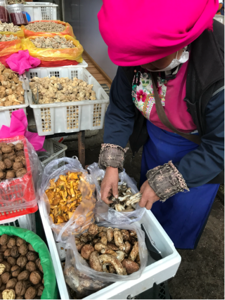 香格里拉野生菌俏銷(xiāo)市場(chǎng)