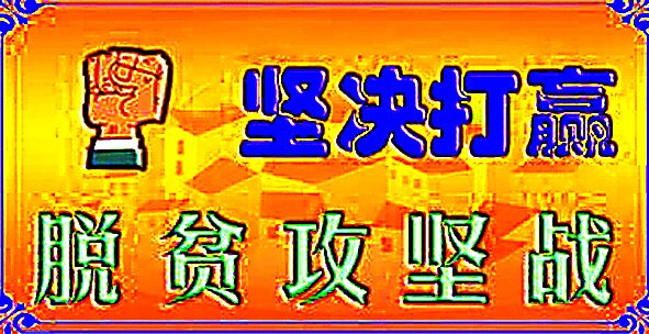 維西縣葉枝鎮(zhèn)拉波洛村脫貧攻堅紀實
