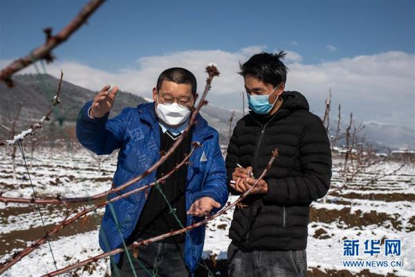 云南迪慶藏區(qū)：打好防疫脫貧兩場戰(zhàn)役