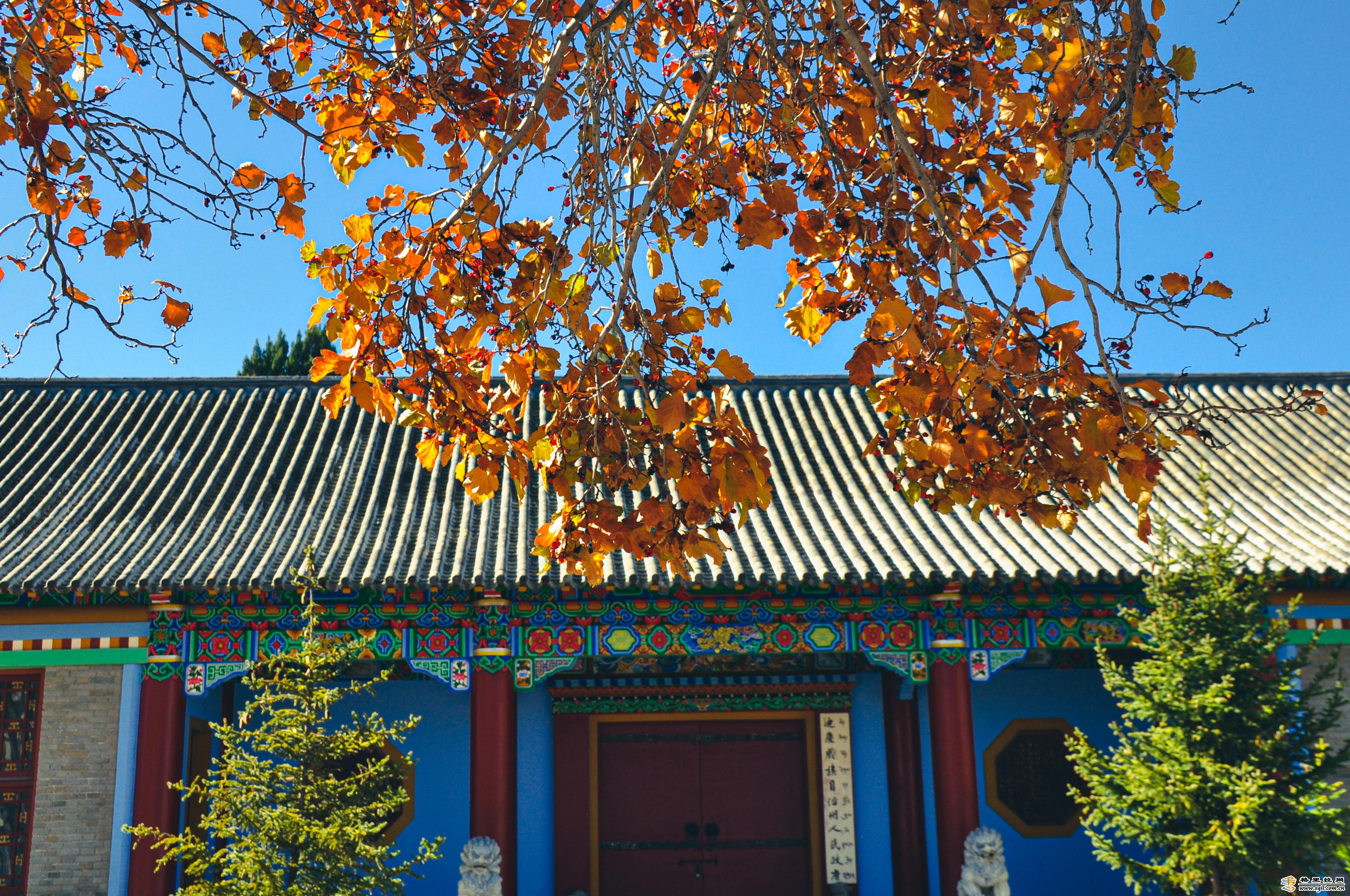 香格里拉又一秋冬打卡地，千萬別錯(cuò)過