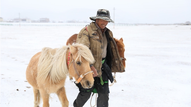 來了！來了！2021年香格里拉第一場雪終于來了！