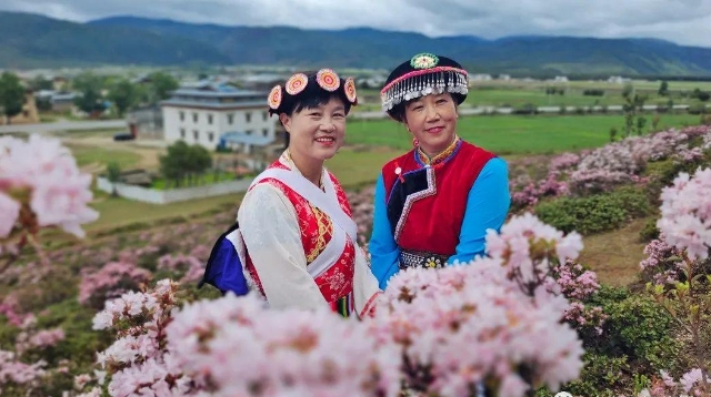 香格里拉，盛夏的正確打開方式竟然是這樣的……