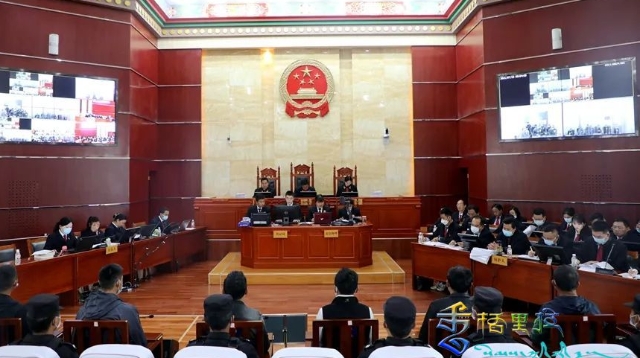 迪慶中院公開(kāi)開(kāi)庭審理被告人李某明、李某勇等二十二人涉嫌盜竊罪一案