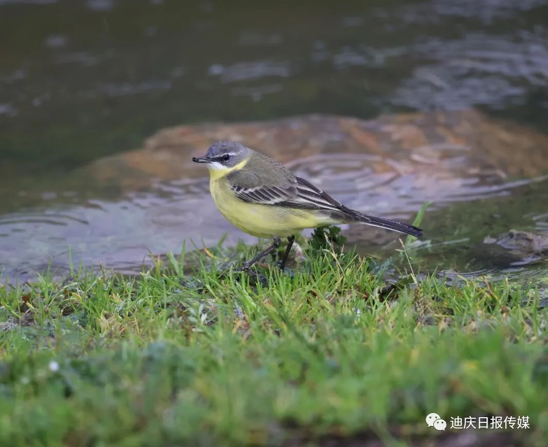 QQ截圖20210907102654.jpg 圖片