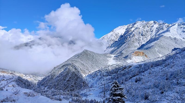 白馬雪山下雪了 畫風(fēng)雖冷畫面卻美翻了！