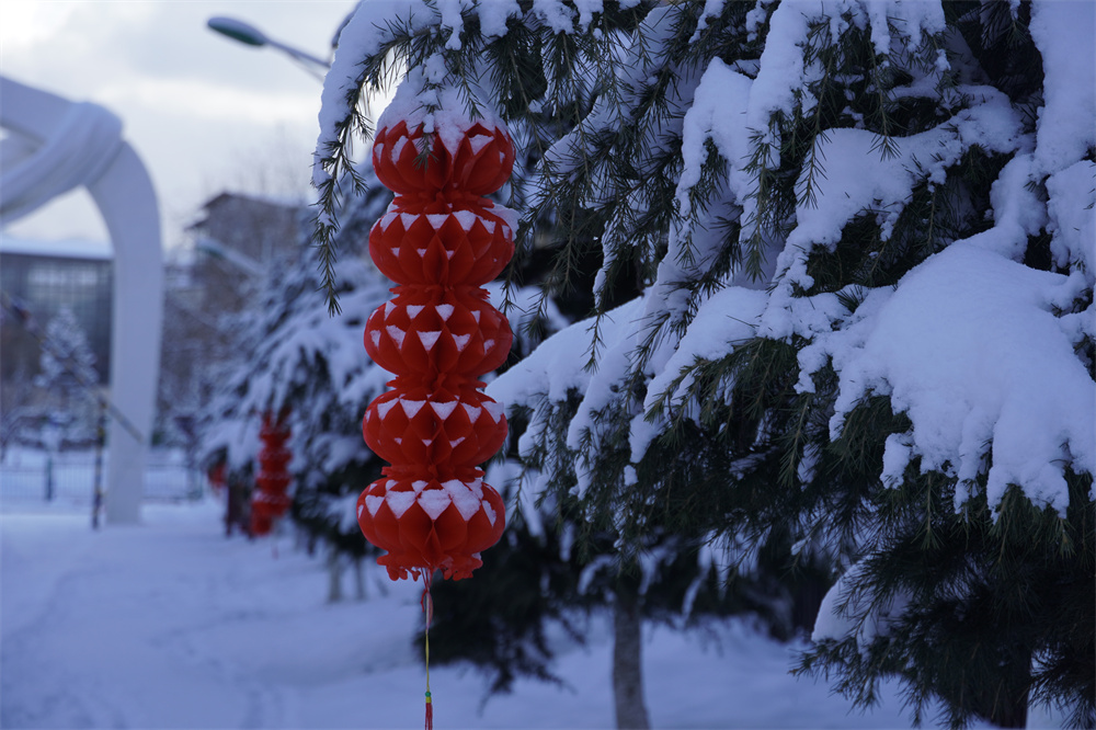 【網(wǎng)絡(luò)中國節(jié)?春節(jié)】瑞雪兆豐年！迪慶下雪了！