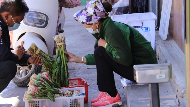 @吃貨們！香格里拉野菜上市了！快來嘗鮮