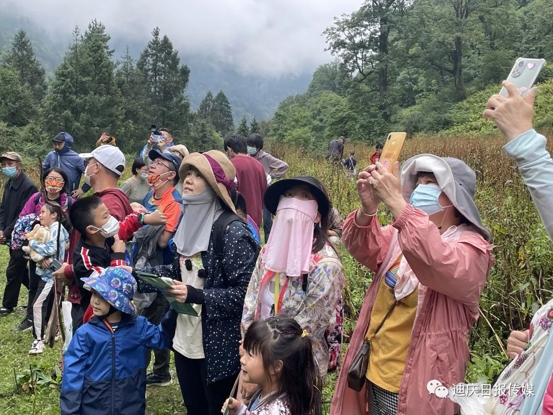 圖片 圖片