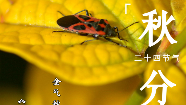 秋分至，莫負(fù)好時(shí)光
