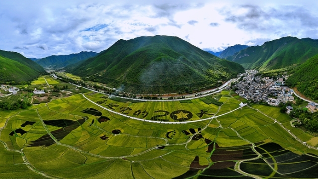 塔城鎮(zhèn)稻田畫(huà)喜迎黨的二十大