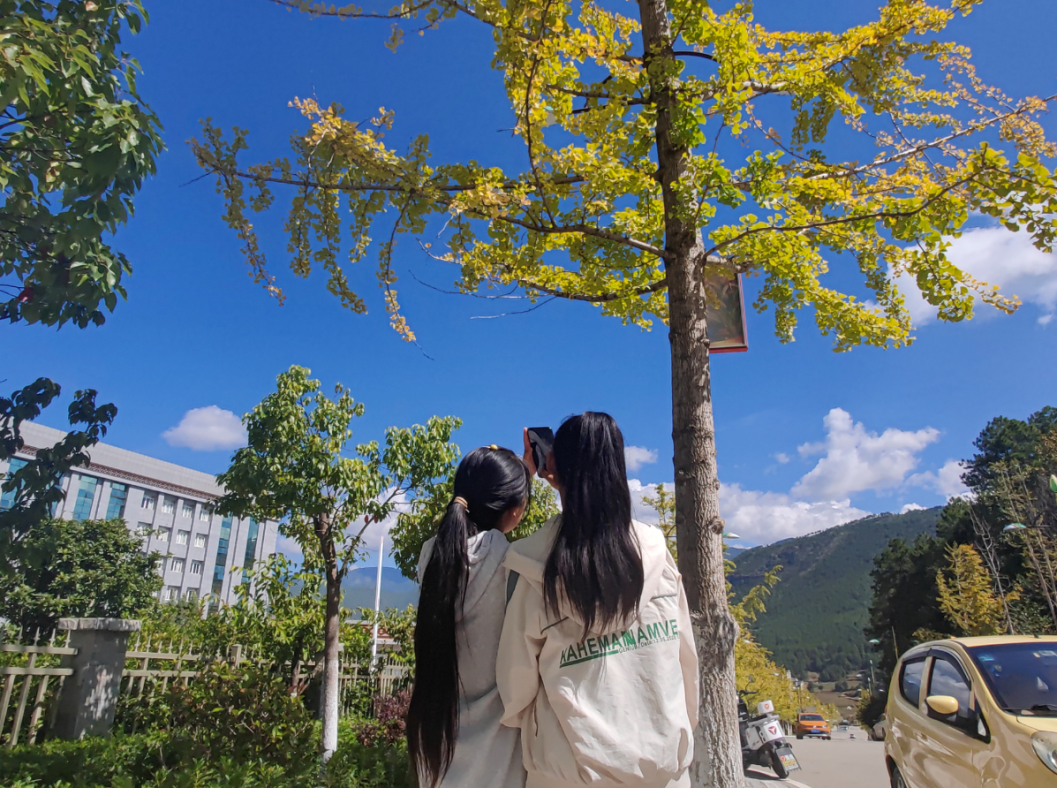 秋天到了，樹葉黃了景色美了 張燕1.png