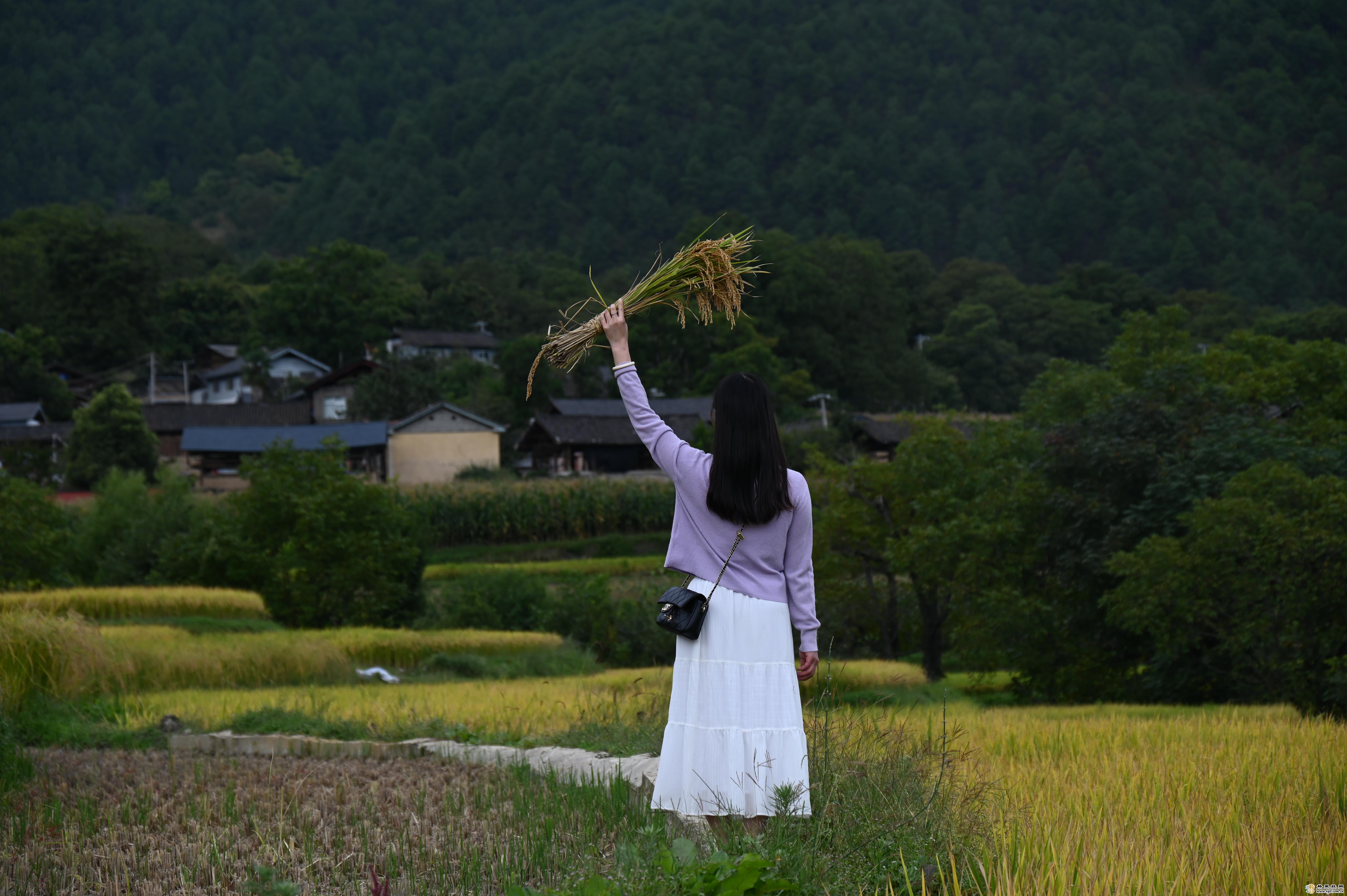 維西鄉(xiāng)村美如畫 (1).jpg