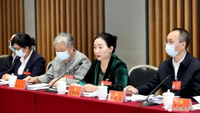 云南省代表團(tuán)討論十九屆中央紀(jì)委工作報(bào)告和黨章修正案 王寧主持 王予波石玉鋼參加