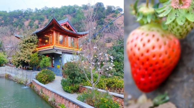 看美景，吃美食五家仁等你來