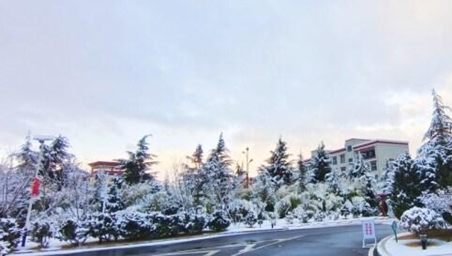 一夜春雪，詩意了迪慶高原