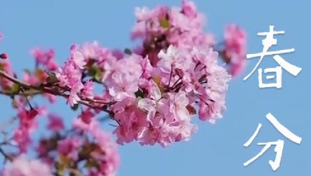 二十四節(jié)氣 | 迪慶日報(bào)社藏語主播說節(jié)氣：春分