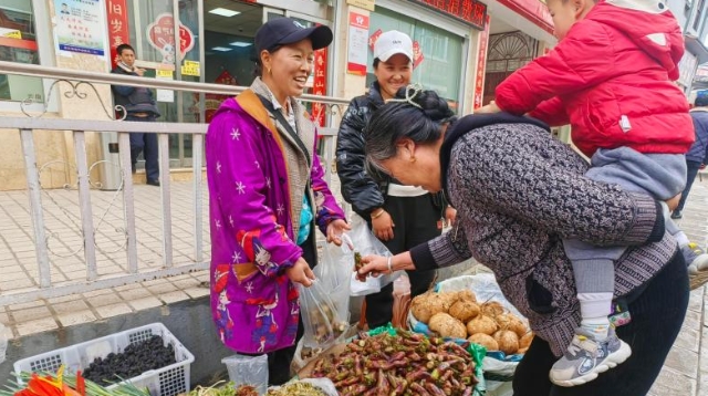 【有一種叫云南的生活?香格里拉的幸福時光】嘗嘗維西春天的“味道”