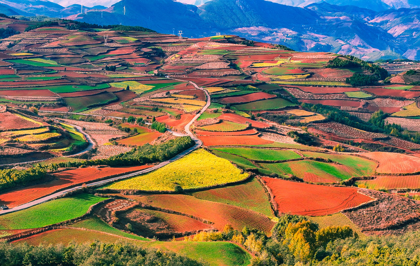 2云南東川紅土地美景。葉志剛攝.jpg?x-oss-process=style/w10