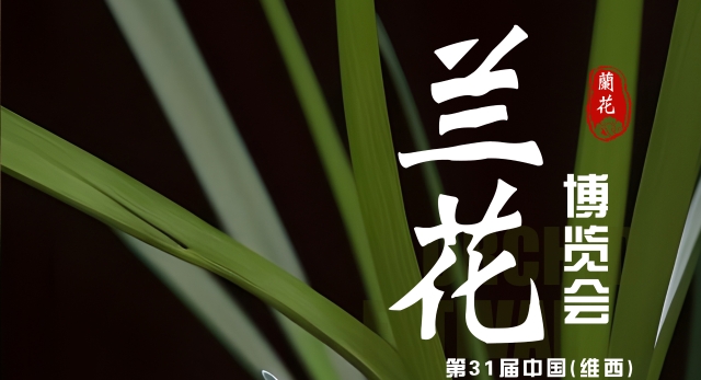 相約維西 第31屆中國(維西)蘭花博覽會(huì)歡迎您