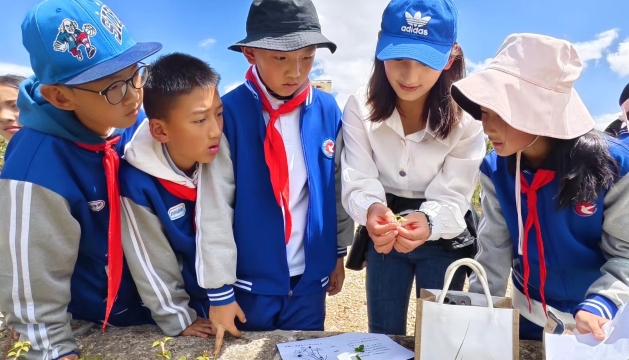 香格里拉市建塘小學(xué)教育集團(tuán)開展“親近大自然、探訪植物園”主題研學(xué)活動