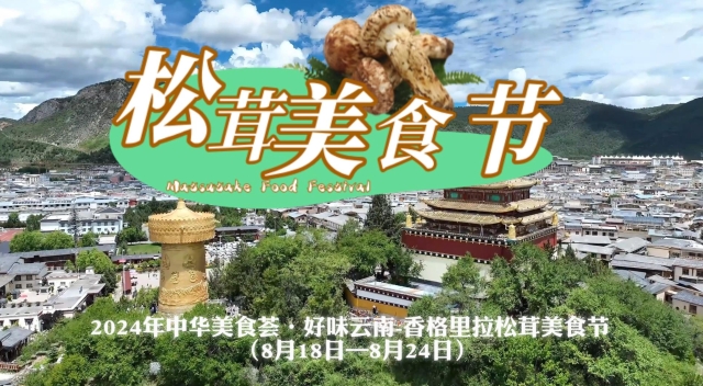 “中華美食薈·好味云南——香格里拉松茸美食節(jié)”等你來嘗鮮！