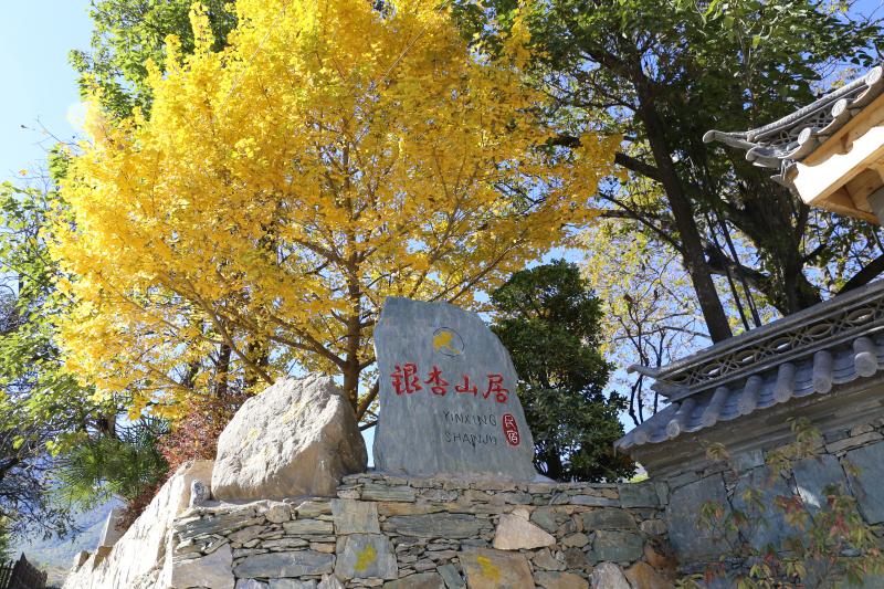 【建設(shè)社會主義現(xiàn)代化新迪慶一日一播報】中國農(nóng)業(yè)銀行迪慶分行——集幫扶之智 聚金融之力 繪振興之景