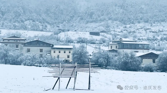 香格里拉：暮春飛雪 美景如畫
