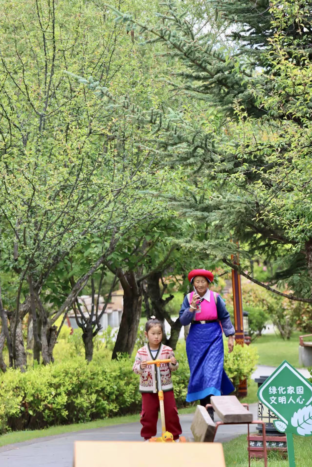 仲夏香巴拉公園繁花織錦 市民游客共享香格里拉愜意時(shí)光