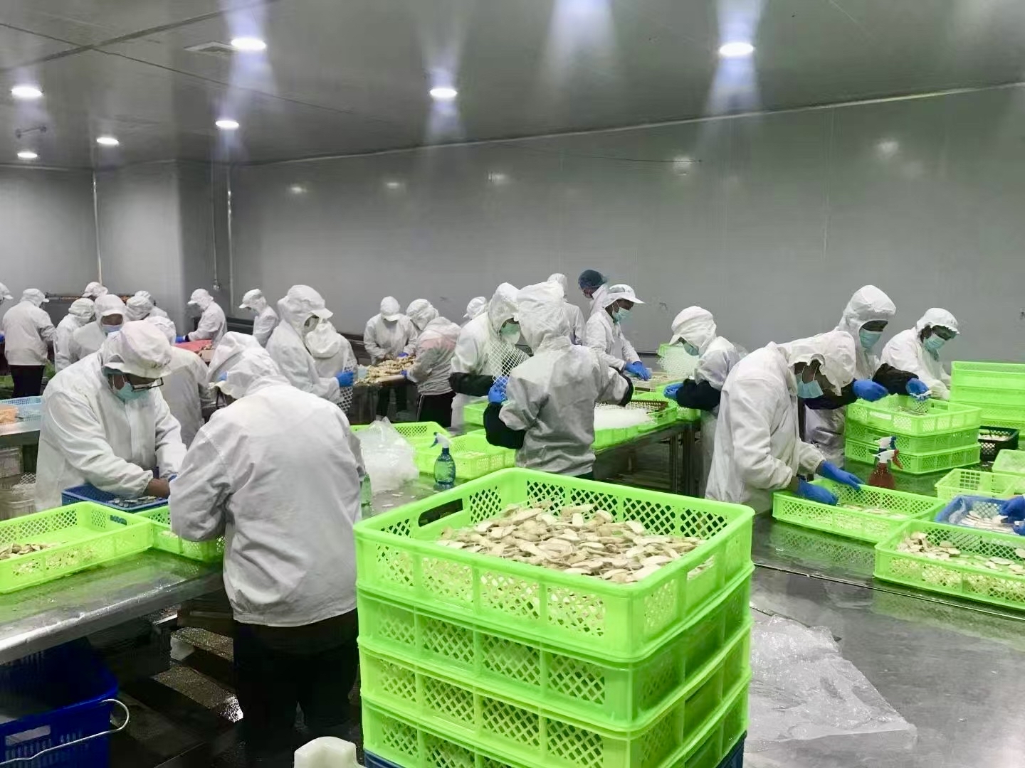 新時代 新征程 新偉業(yè)丨50載深耕鑄就松茸產(chǎn)業(yè)傳奇！迪慶這家企業(yè)讓山珍走向世界，讓鄉(xiāng)親扎根家鄉(xiāng)