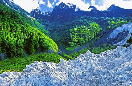 深入踐行“綠水青山就是金山銀山”理念繪就生態(tài)保護(hù)與經(jīng)濟(jì)發(fā)展共贏新圖景