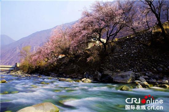 圖片默認(rèn)標(biāo)題_fororder_2、青山綠水桃花紅  雷振林?jǐn)z.JPG