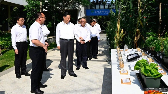 習(xí)近平：只有攥緊中國(guó)種子，才能端穩(wěn)中國(guó)飯碗