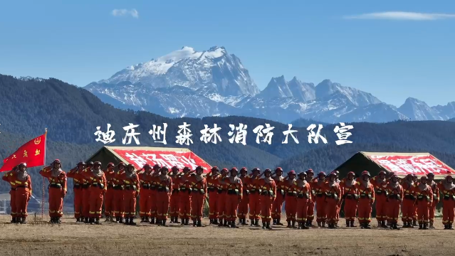 保護綠水青山  杜絕森林火災
